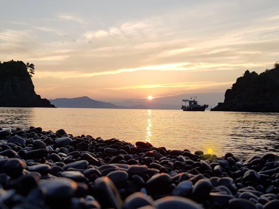 Το Σπίτι Της Ελένης Apartment Vlachia Bagian luar foto