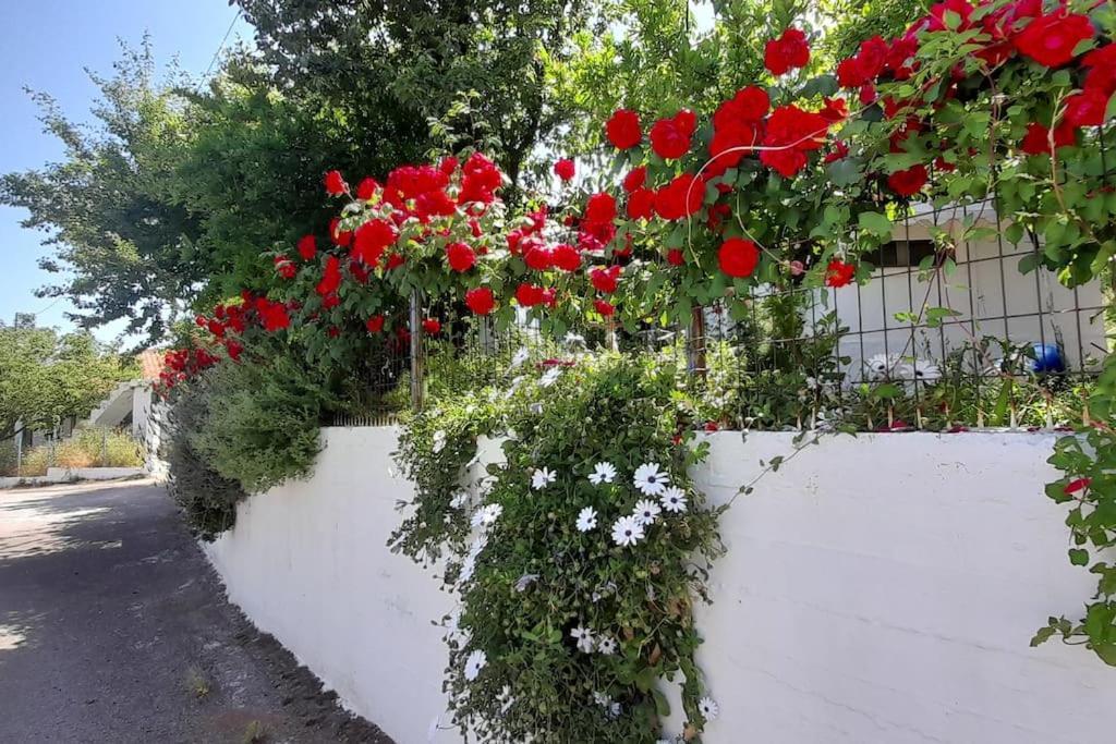 Το Σπίτι Της Ελένης Apartment Vlachia Bagian luar foto