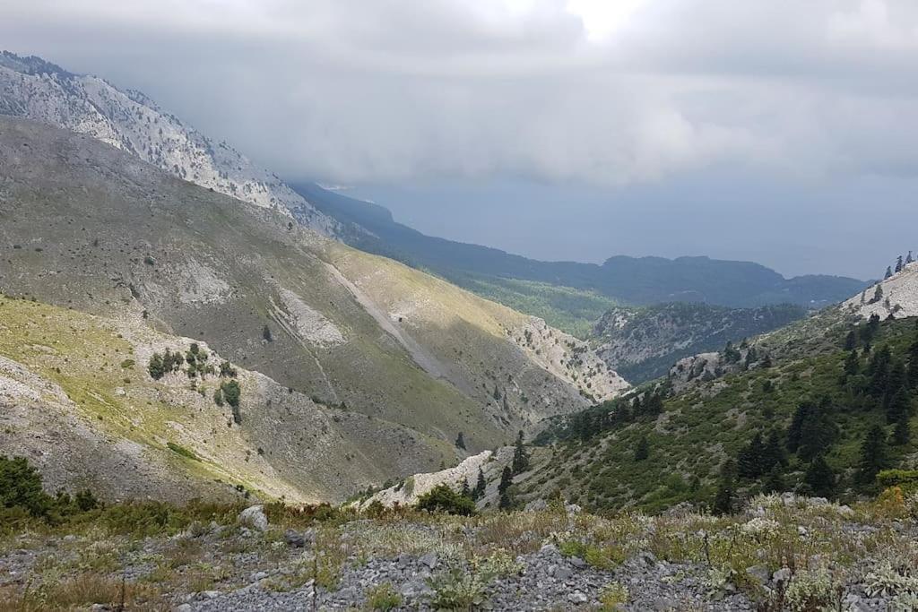 Το Σπίτι Της Ελένης Apartment Vlachia Bagian luar foto